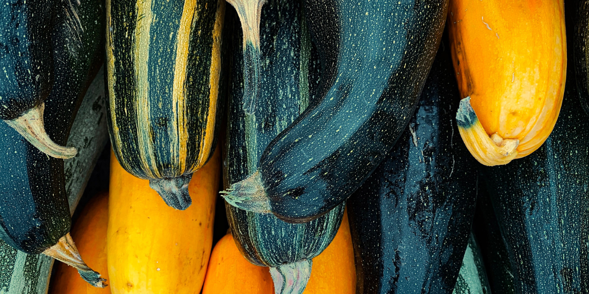 Selection of Squash and pumpkin